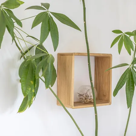 La Tranquilite Bleue - Maison Avec Et Parking Cloture Дом отдыха Ле-Сабль-д’Олон