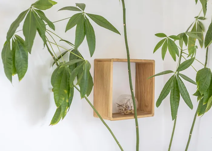 La Tranquilite Bleue - Maison Avec Et Parking Cloture בית נופש Les Sables-dʼOlonne