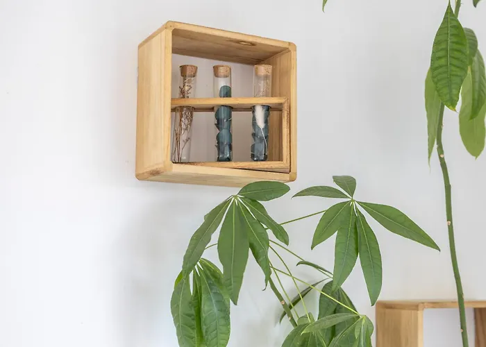 La Tranquilite Bleue - Maison Avec Et Parking Cloture Les Sables-dʼOlonne